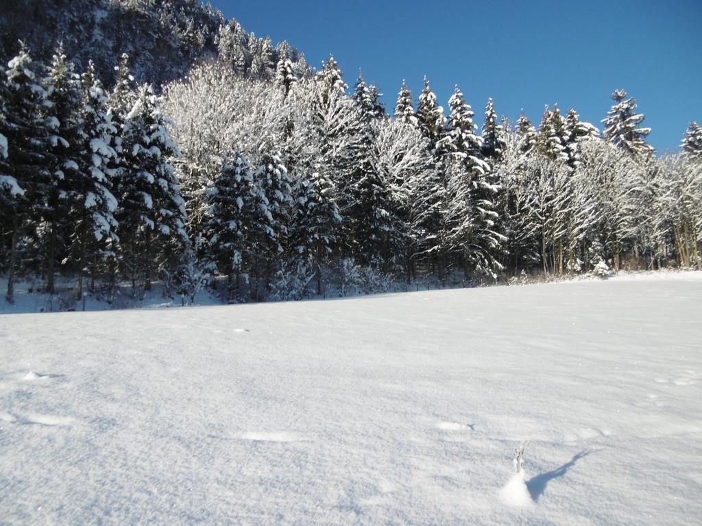 Ferienwohnung Zillertal Bacher Schlitters Eksteriør bilde